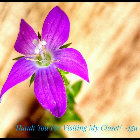 Send me your offers soon!๐ - Picture 2 of 2